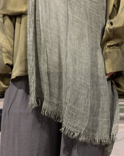 Velvet Cotton in Forest Green